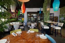 Fotografía de Tanino San Pedro Fotografía de Tanino San Pedro