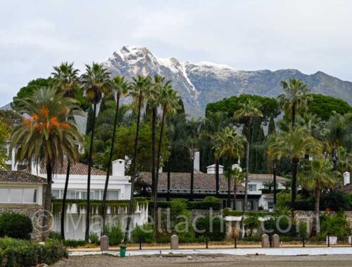 nieve en marbella
