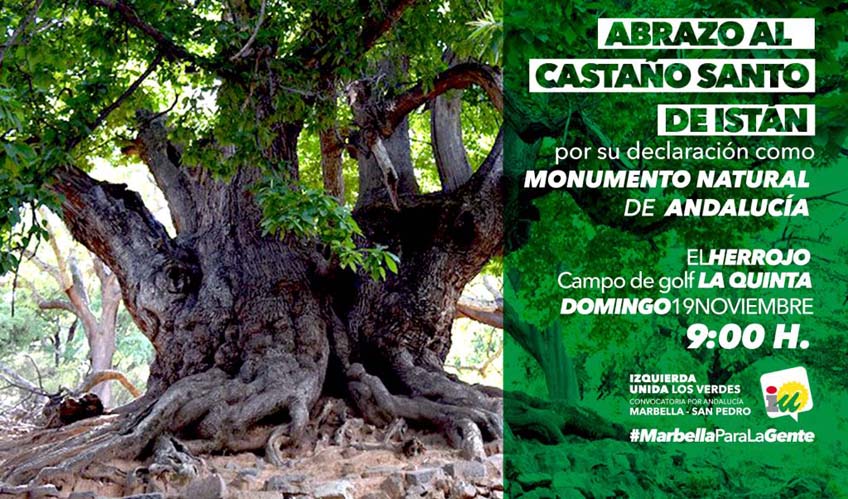 castaño santo istan