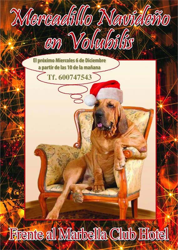 mercadillo-marbella-navidad