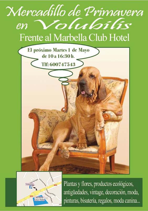 mercadillo de primavera Volubilis decoracion marbella