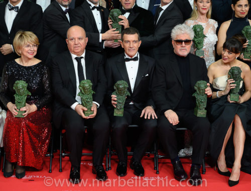 premios goya 2020 malaga