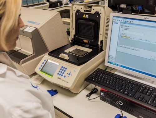 test covid19 hc hospital marbella