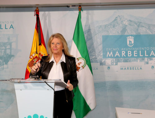 ayuntamiento de marbella test covid19