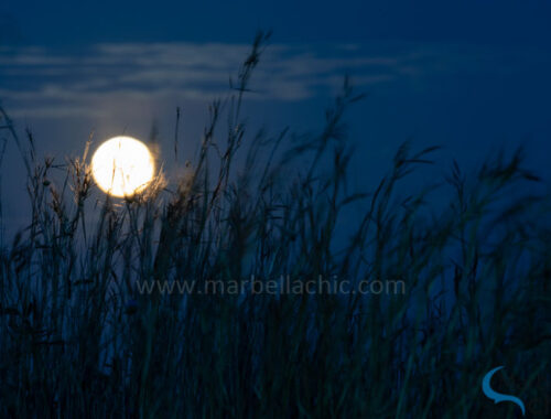 superluna de las flores marbella