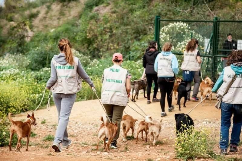 sonora beach triple a