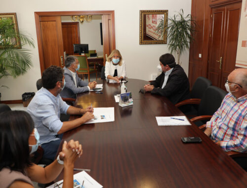 feria de san pedro alcántara