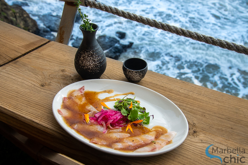 ceviche Trocadero Benalmádena