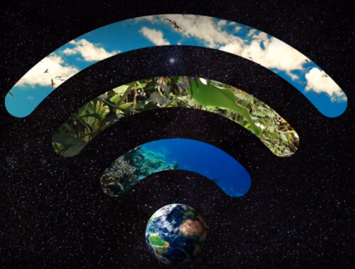 la hora del planeta marbella