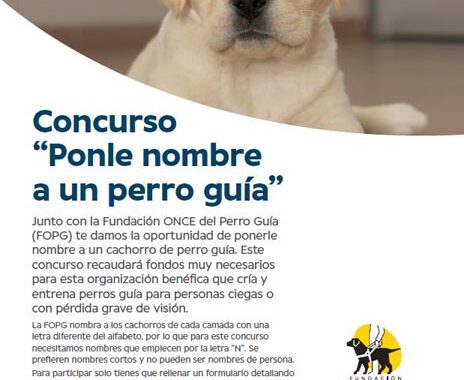 specsavers marbella CONCURSO