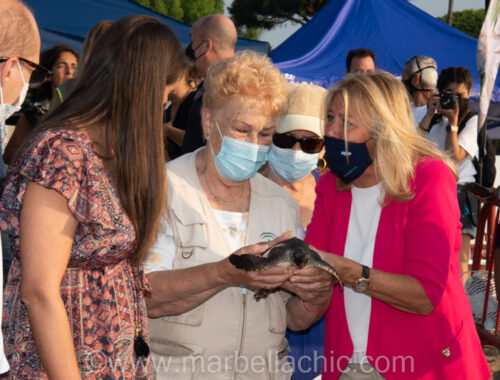 Suelta de tortugas boba en Marbella