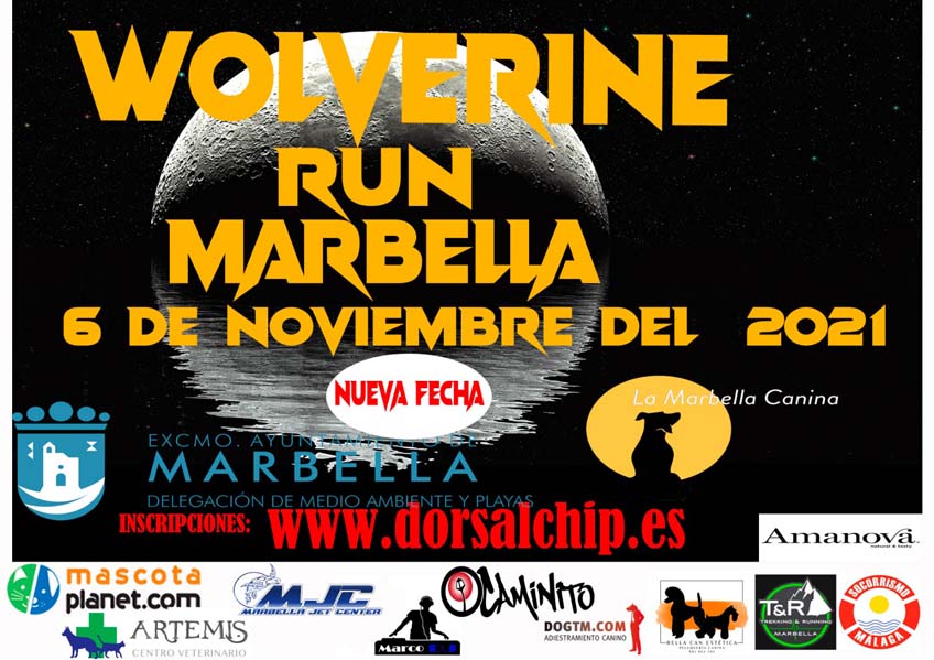 carrera canina nocturna