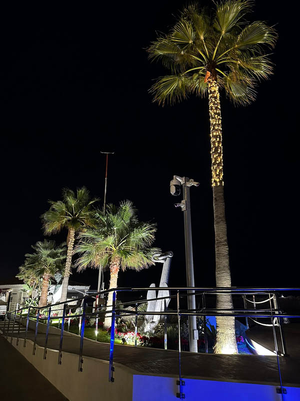 Puerto Banús luce ya su decoración navideña