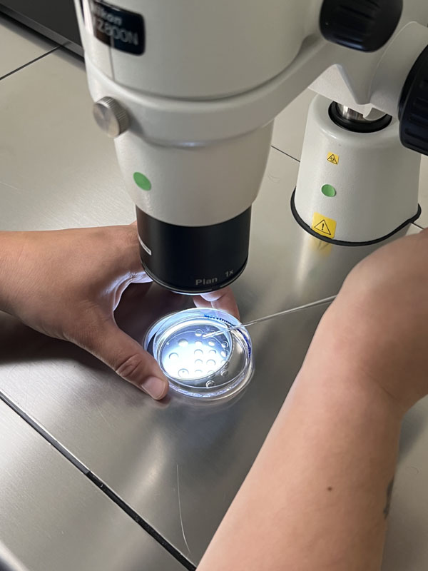 Edad e infertilidad también es cosa de hombres