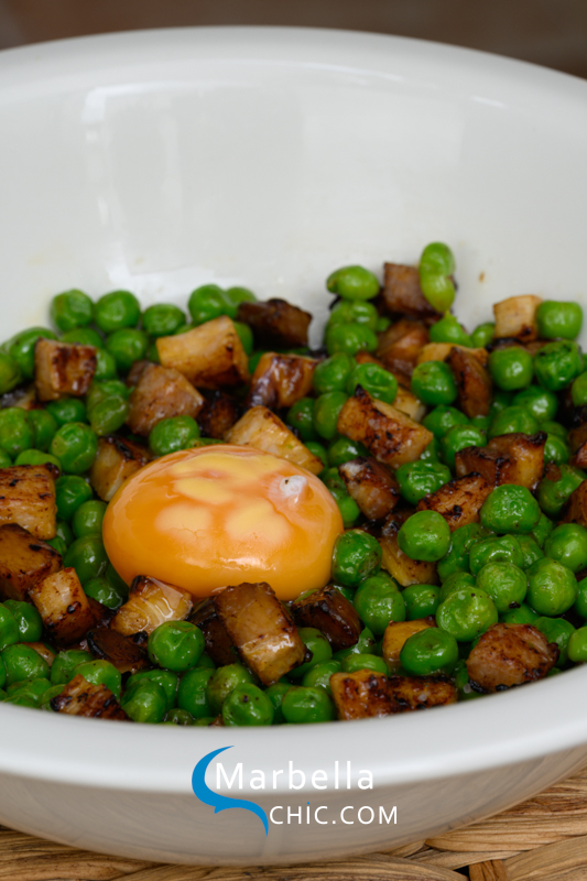 taberna chinchilla by eliza marbella